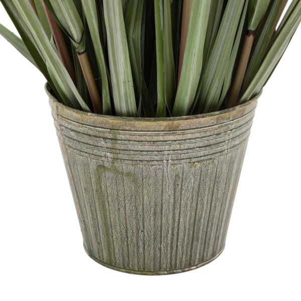 DF-GAL-5056693592747-1 Potted Grass with Pampas Seed Heads