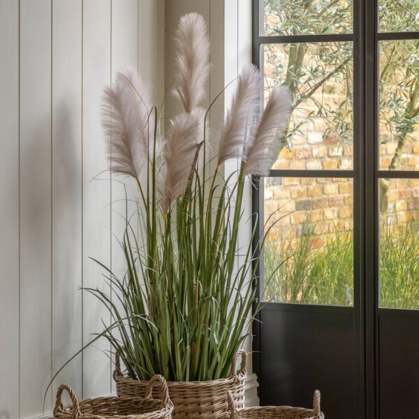 DF-GAL-5056693592747-2 Potted Grass with Pampas Seed Heads