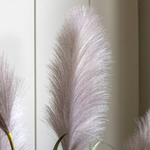 DF-GAL-5056693592747-3 Potted Grass with Pampas Seed Heads
