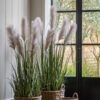 DF-GAL-5056693592747-4 Potted Grass with Pampas Seed Heads