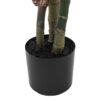 Potted Calathea Leaf Tree