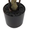 Potted Bamboo Tree