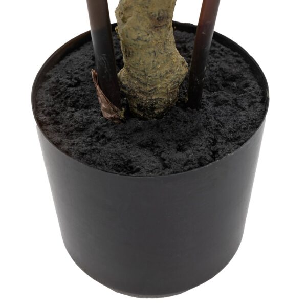 Potted Bamboo Tree