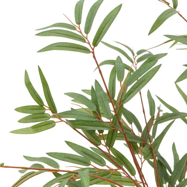Potted Bamboo Tree