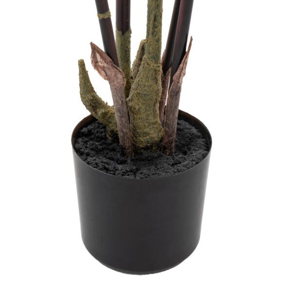 Potted Bamboo Tree