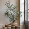 Potted Bamboo Tree