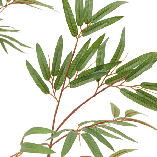 Potted Bamboo Tree