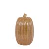 Ceramic Pumpkin