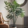 DF-GAL-5059413399770-2 Areca Palm Tree