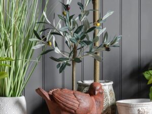 DF-GAL-5059413399824-1 Olive Tree