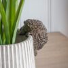 Hedgehog Pot Hanger