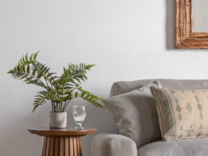 Potted Fern in Cement Pot