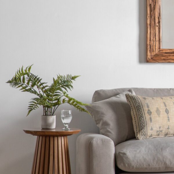 Potted Fern in Cement Pot
