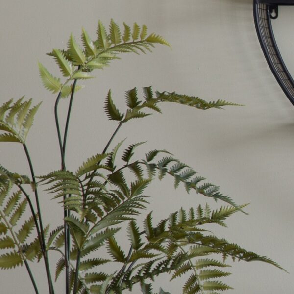 Potted Fern in Cement Pot