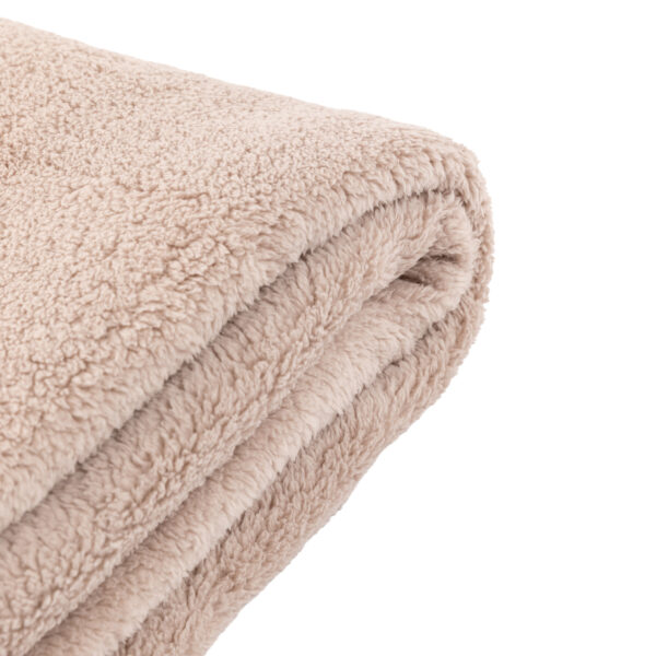 Teddy Fleece Throw