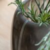 Claro Stripe Glass Vase