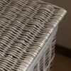 DF-GAL-5061087224029-3 Lina Lined Laundry Basket