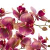 DF-GAL-5061087249459-1 Orchid in Moss Ceramic Dot Pot