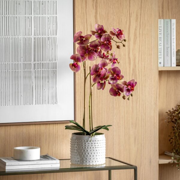 DF-GAL-5061087249459-2 Orchid in Moss Ceramic Dot Pot