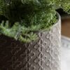 Selva Embossed Planter