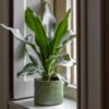Selva Embossed Planter