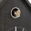 Cuckoo Clock
