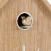 Cuckoo Clock