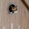 Cuckoo Clock