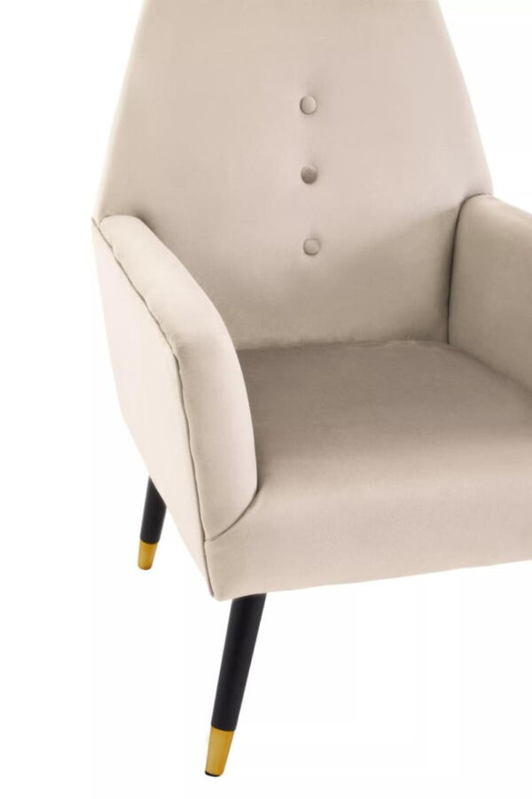 Loretta Wine Velvet Chair With Black Wood And Gold Finish Legs